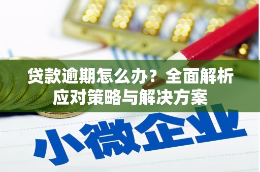 雨花贷款逾期怎么办？全面解析应对策略与解决方案