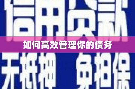 松原如何高效管理你的债务