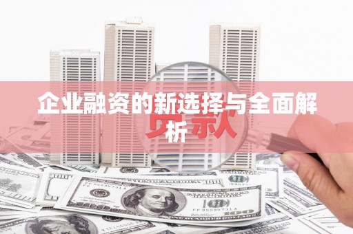 福绵企业融资的新选择与全面解析