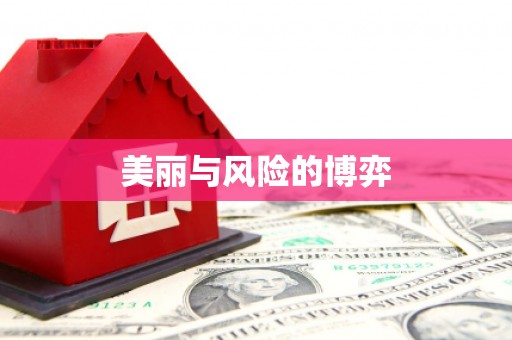 东丽美丽与风险的博弈