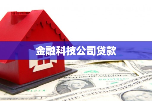 陆丰金融科技公司贷款