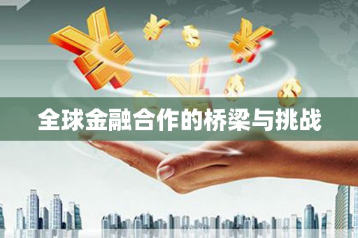 汉源全球金融合作的桥梁与挑战