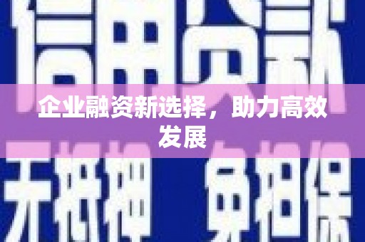 天元企业融资新选择，助力高效发展